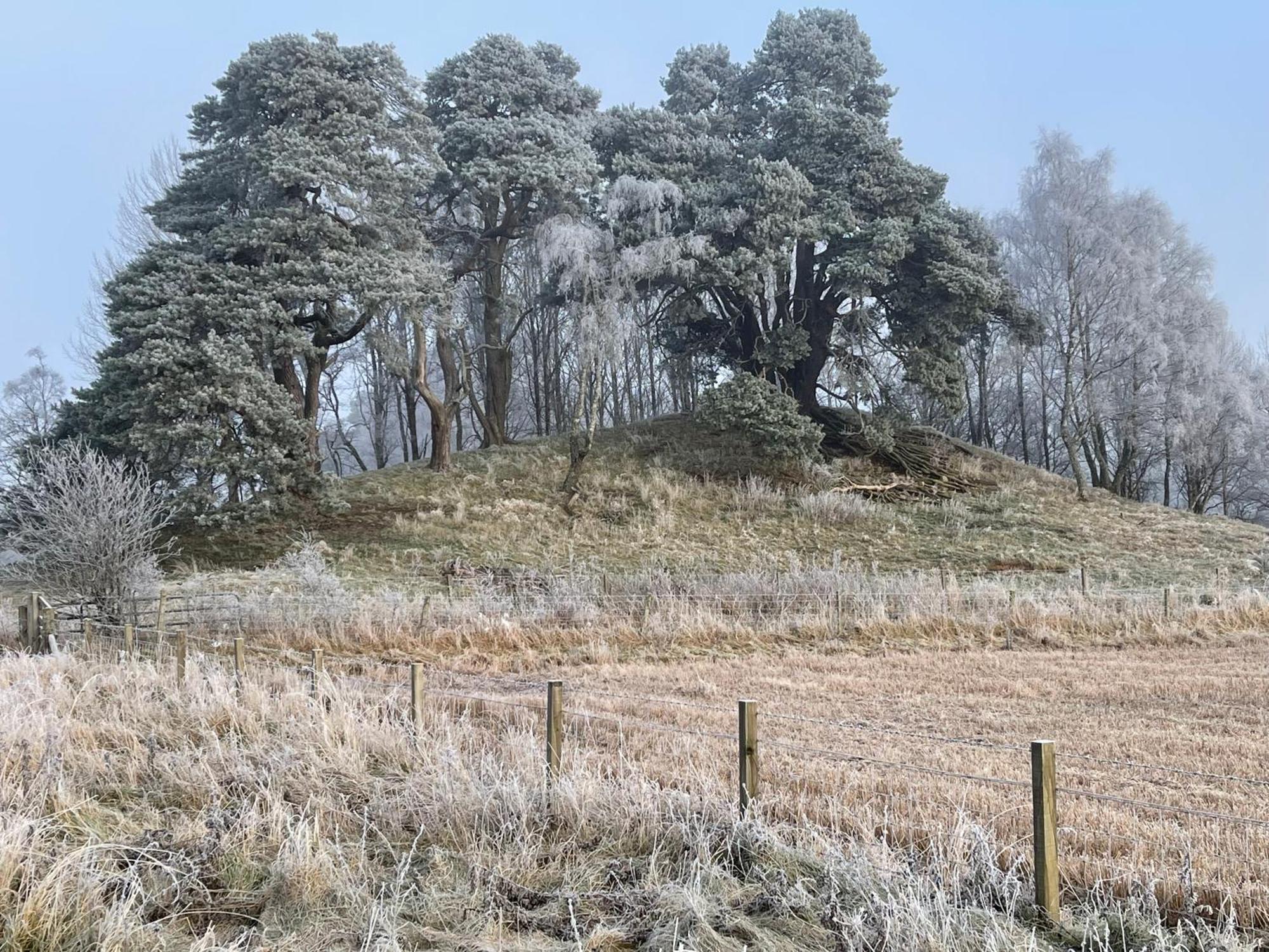 Coppice Cottage Grantown-on-Spey Exteriör bild