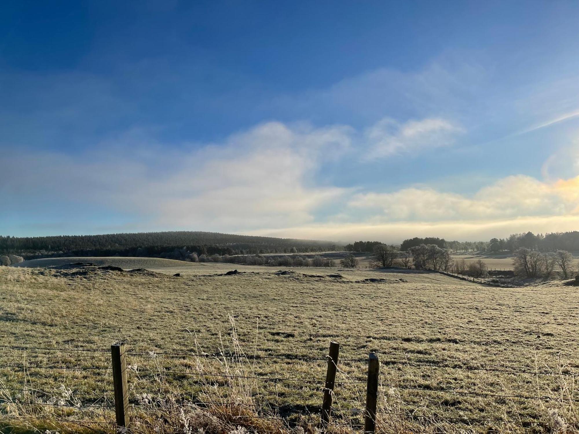 Coppice Cottage Grantown-on-Spey Exteriör bild
