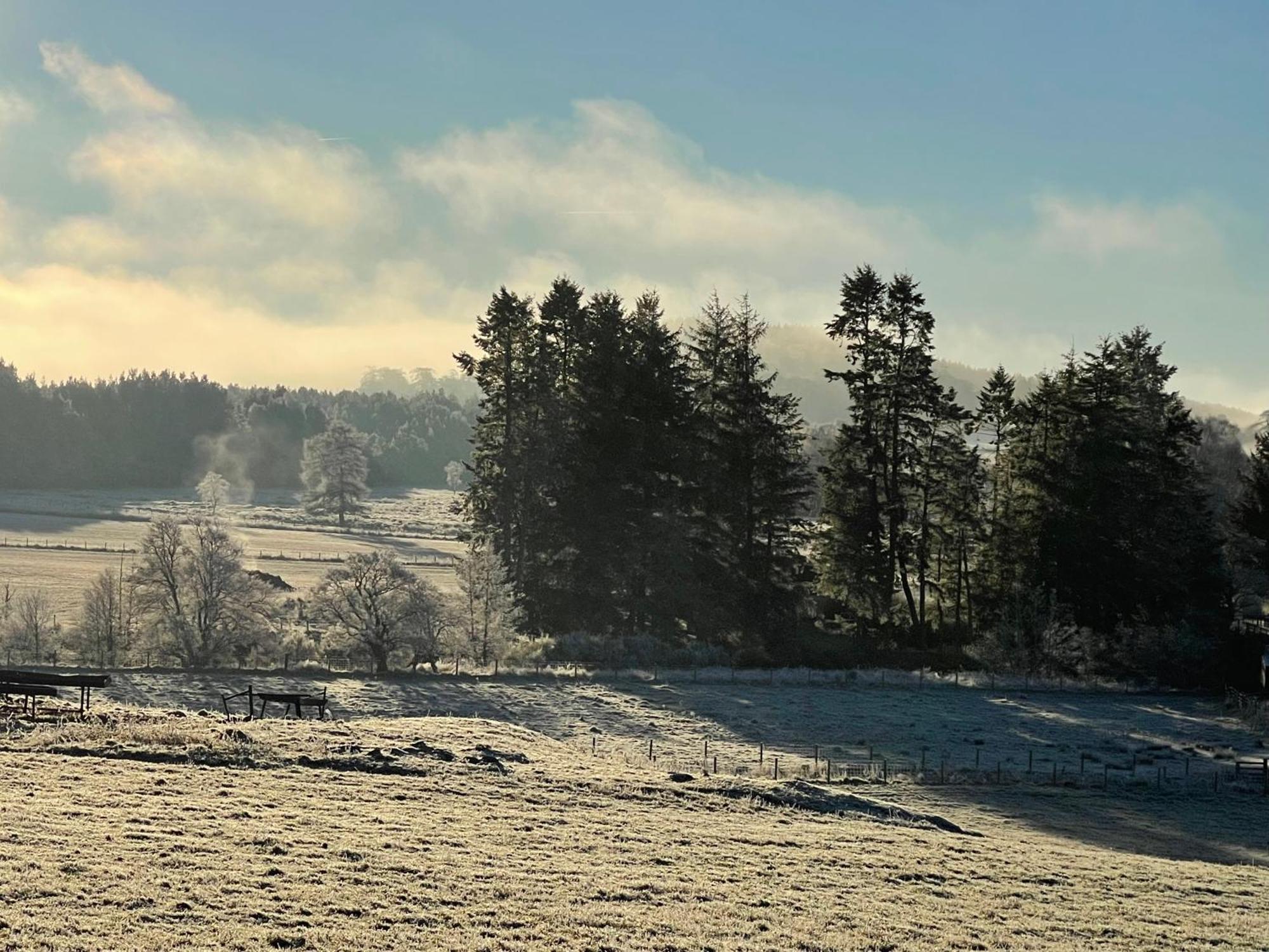 Coppice Cottage Grantown-on-Spey Exteriör bild
